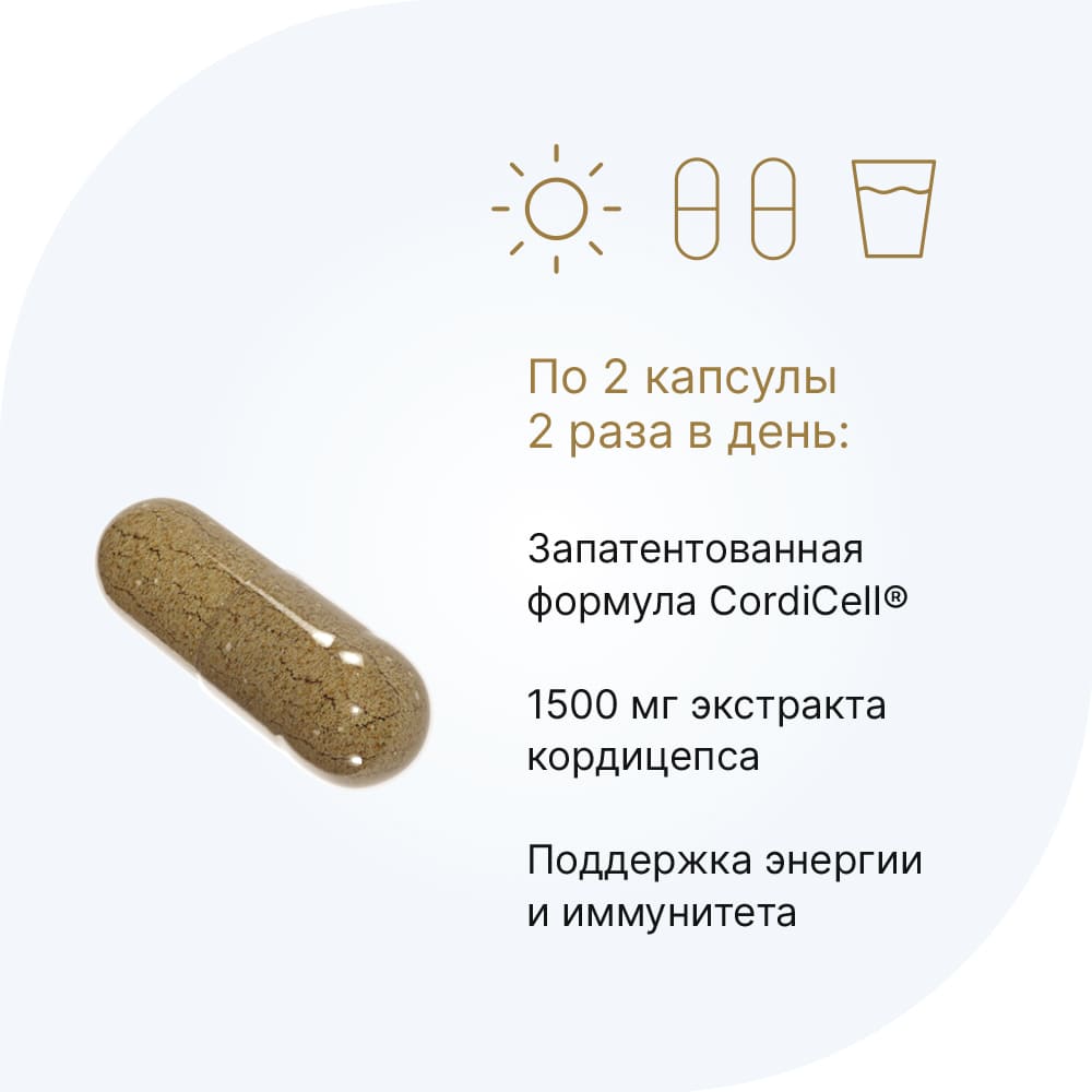 Кордицелл Evalar Laboratory 500 мг капсулы банка, 60 шт.