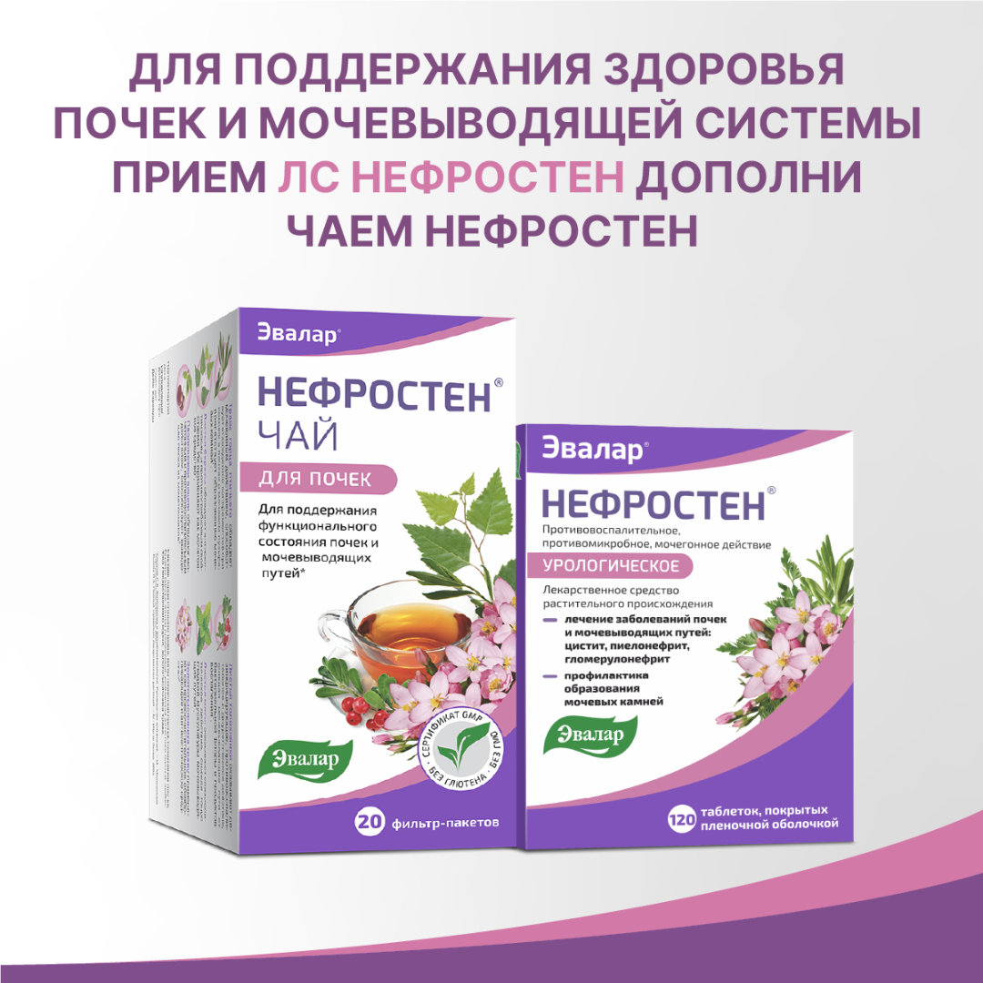 Нефростен таблетки, 120 шт, Эвалар