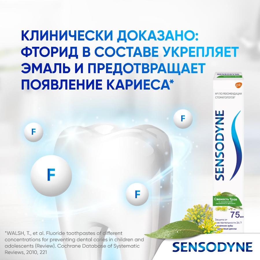 Зубная паста Sensodyne Свежесть Трав для чувствительных зубов с экстрактом трав, 75 мл
