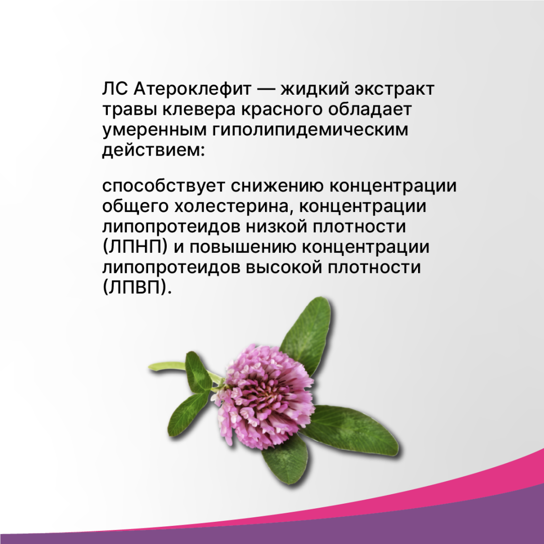 Атероклефит экстракт жидкий для приема внутрь, Эвалар, 100 мл