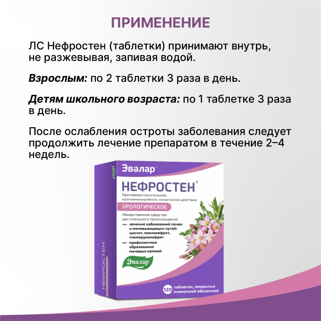 Нефростен таблетки, 120 шт, Эвалар