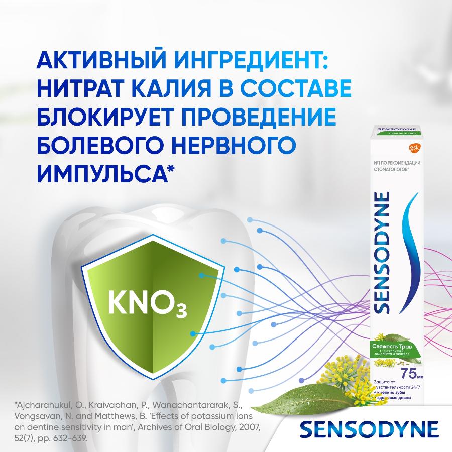 Зубная паста Sensodyne Свежесть Трав для чувствительных зубов с экстрактом трав, 75 мл