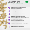 ВитаБотаника Олива Эвалар капсулы, 60 шт.