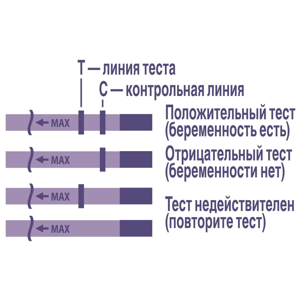 Эвитест тест на беременность, 2 шт.