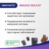Бэби Формула Мишки Иммунитет жевательные пастилки, 60 шт, Эвалар